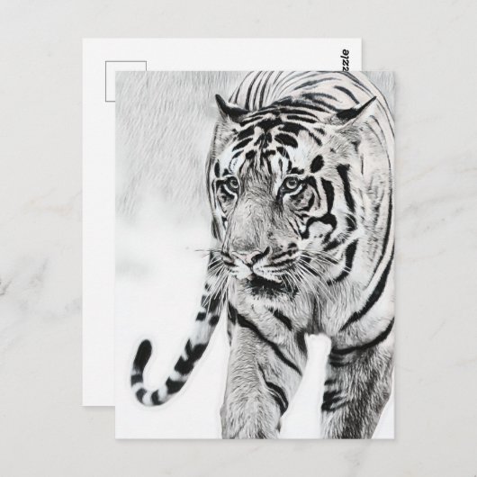 かわいいトラの動物愛好家 ポストカード (正面/裏面)
