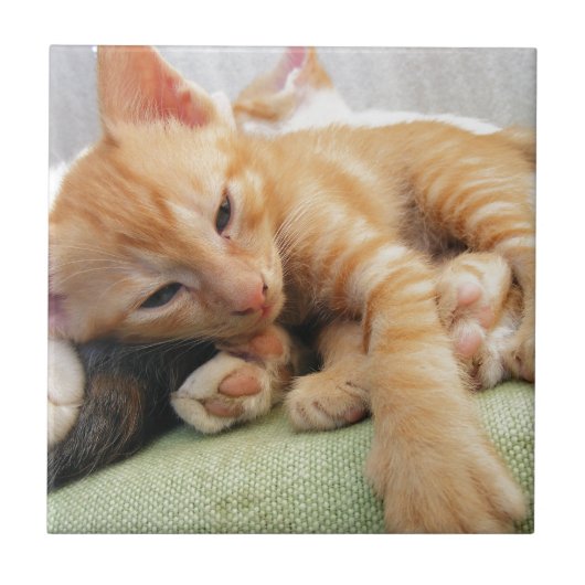 かわいいトラの縞模様の子猫 タイル (正面)