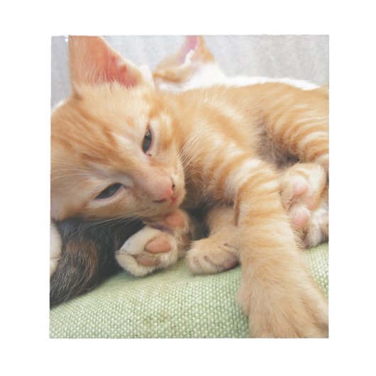 かわいいトラの縞模様の子猫 ノートパッド (正面)