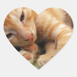 かわいいトラの縞模様の子猫 ハートシール