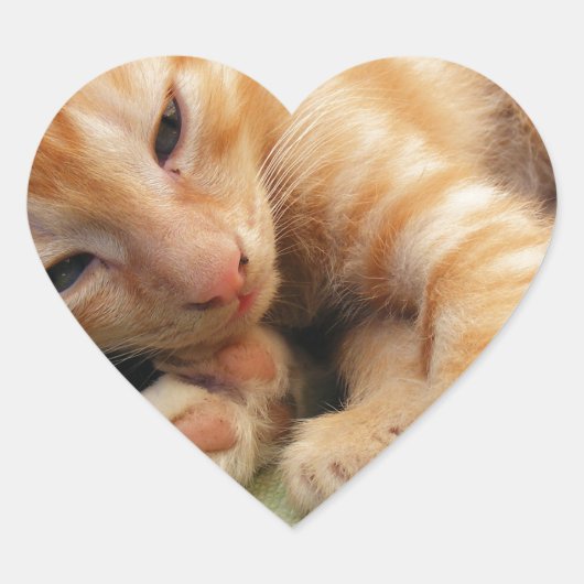 かわいいトラの縞模様の子猫 ハートシール (正面)