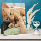 かわいいトラの縞模様の子猫 フォトプラーク (側面)