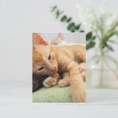 かわいいトラの縞模様の子猫 ポストカード (スタンド正面)