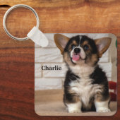 かわいいトライカラーのペンブロークウェルシュコーギー子犬 キーホルダー (正面)
