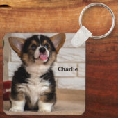 かわいいトライカラーのペンブロークウェルシュコーギー子犬 キーホルダー (裏面)