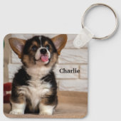 かわいいトライカラーのペンブロークウェルシュコーギー子犬 キーホルダー (裏面)