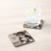 かわいいトライカラーのペンブロークウェルシュコーギー子犬 コースター (右側)