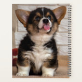 かわいいトライカラーのペンブロークウェルシュコーギー子犬 プランナー手帳 (裏面)