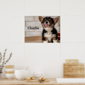 かわいいトライカラーのペンブロークウェルシュコーギー子犬 ポスター (キッチン)