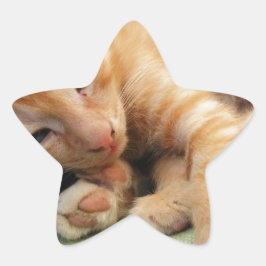 かわいいトラ柄子猫 星シール