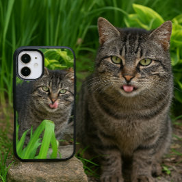かわいいトラ猫のキス iPhone 16ケース
