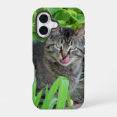 かわいいトラ猫のキス iPhone 16ケース (裏面)