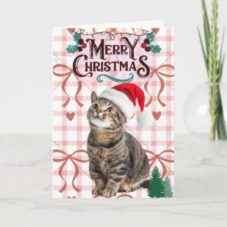 かわいいトラ猫 メリークリスマスカード カード