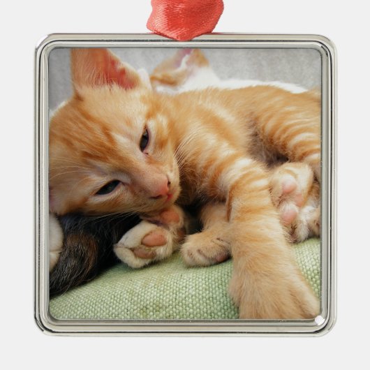 かわいいトラ縞子猫 メタルオーナメント (正面)
