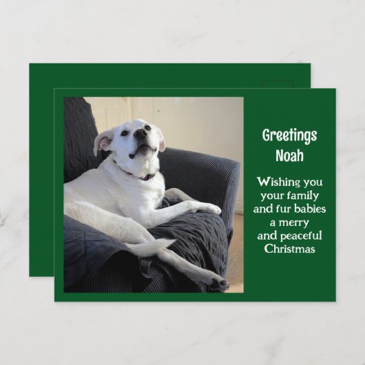 かわいいトークドググリーンクリスマスの写真 ポストカード (正面/裏面)