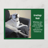 かわいいトークドググリーンクリスマスの写真 ポストカード (正面)