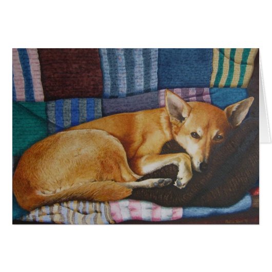 かわいいドイツの羊飼いのラブラドール犬が眠っている (正面横)