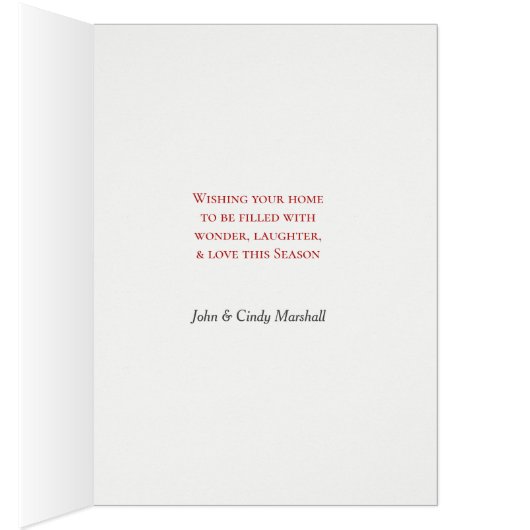 かわいいドイツの羊飼いの子犬とストッキング (内側 (右))