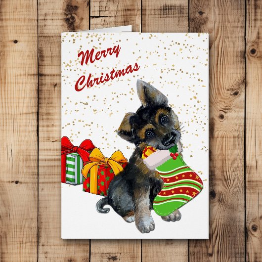 かわいいドイツの羊飼いの子犬とストッキング