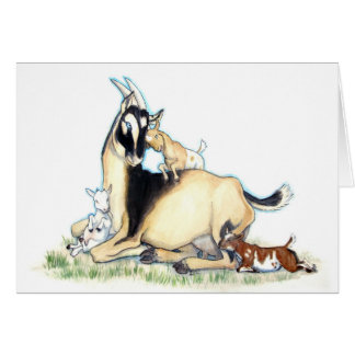 かわいいナイジェリアの小型ヤギおよび子供