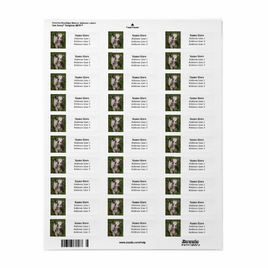 かわいいナイジェリア矮性乳製品ヤギ差出人住所 ラベル (フルシート)