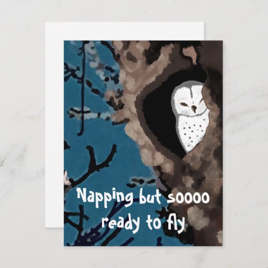 かわいいナッピングフクロウイラストレーションそう飛ぶ準備ができて (正面/裏面)