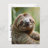 かわいいナマケモノ休憩 シーズンポストカード (正面/裏面)