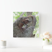 かわいいナマケモノ スクエア壁時計 (ホーム)