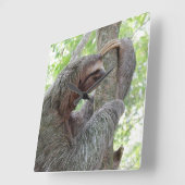 かわいいナマケモノ スクエア壁時計 (傾斜)