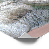 かわいいナマケモノ！ ポスター (角)