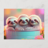 かわいいナマケモノ ポストカード (正面)