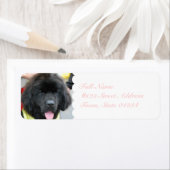 かわいいニューファンドランドの宛名ラベル ラベル (インサイチュ)