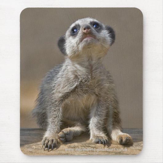 かわいいネコのマウスパッド マウスパッド (正面)