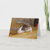 かわいいネズミ カード (正面)