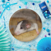 かわいいネズミ ペーパープレート (パーティー)