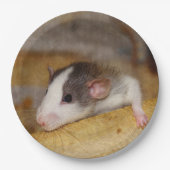 かわいいネズミ ペーパープレート (正面)