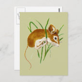 かわいいネズミ、マウスの水彩動物の自然 ポストカード (正面/裏面)