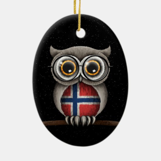 かわいいノルウェーの旗のフクロウの身に着けているガラス セラミックオーナメント (裏面)