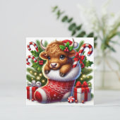 かわいいハイランドカがクリスマス靴下をかぶっている シーズンカード (スタンド正面)