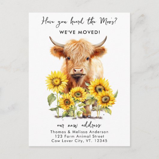 かわいいハイランド牛ひまわり花新しいアドレス移動 案内ポストカード (正面)