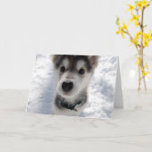 かわいいハスキーの写真のカスタマイズ可能なグリーティングカード カード (黄色い花)