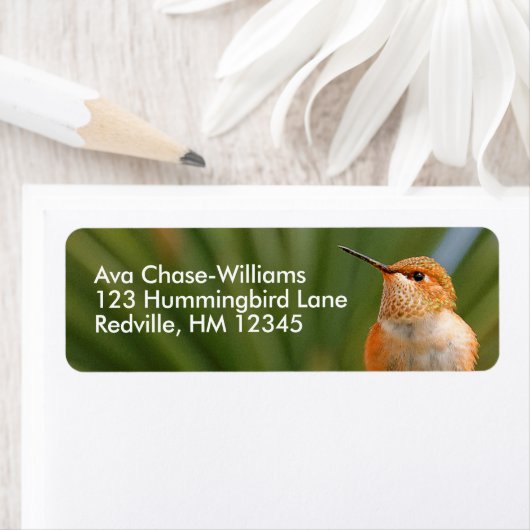 かわいいハチドリの安静時 ラベル (インサイチュ)