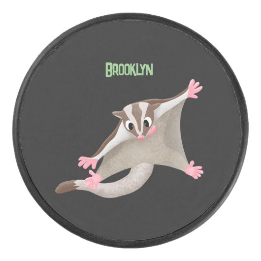 かわいいハッピーグライダー漫画イラストレーション アイスホッケーパック (正面)