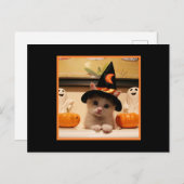 かわいいハッピーハローウィン子猫とウィッチハット ポストカード (正面/裏面)