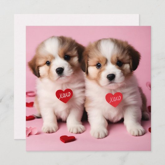 かわいいハッピーバレンタインデーの子犬たち シーズンカード (正面/裏面)