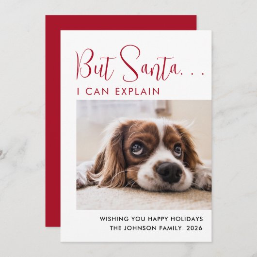 かわいいハッピーホリデーズペット写真 シーズンカード (正面/裏面)