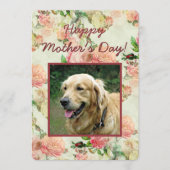かわいいハッピーマザーズと父親の日と犬の写真 シーズンカード (正面)