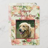 かわいいハッピーマザーズと父親の日と犬の写真 シーズンカード (正面/裏面)
