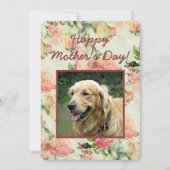 かわいいハッピーマザーズと父親の日と犬の写真 シーズンカード (正面)