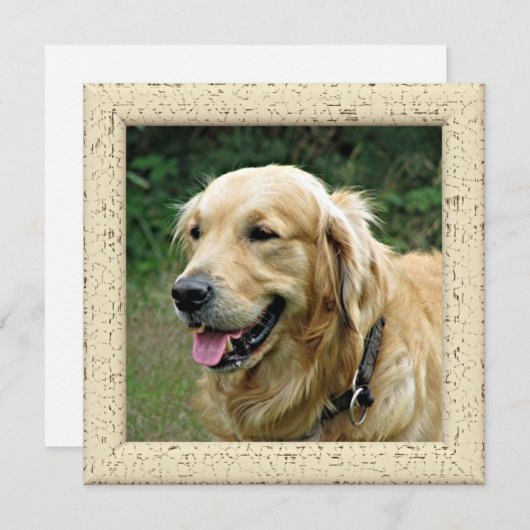 かわいいハッピーマザーズと父親の日と犬の写真 案内状 (正面/裏面)